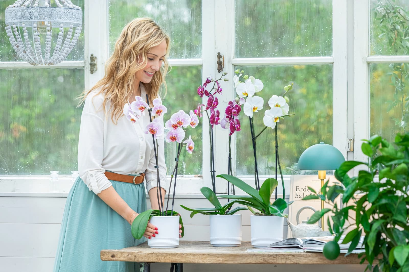 Rettungstipps für Pflanzen