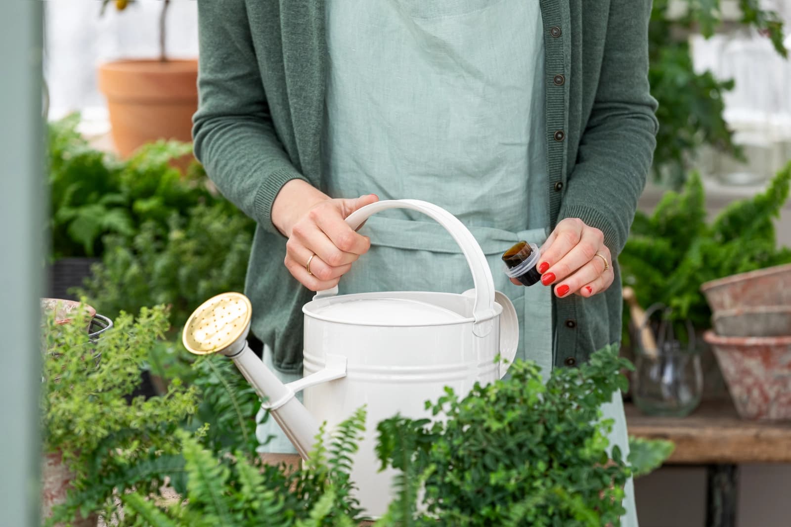 Rettungstipps für Pflanzen