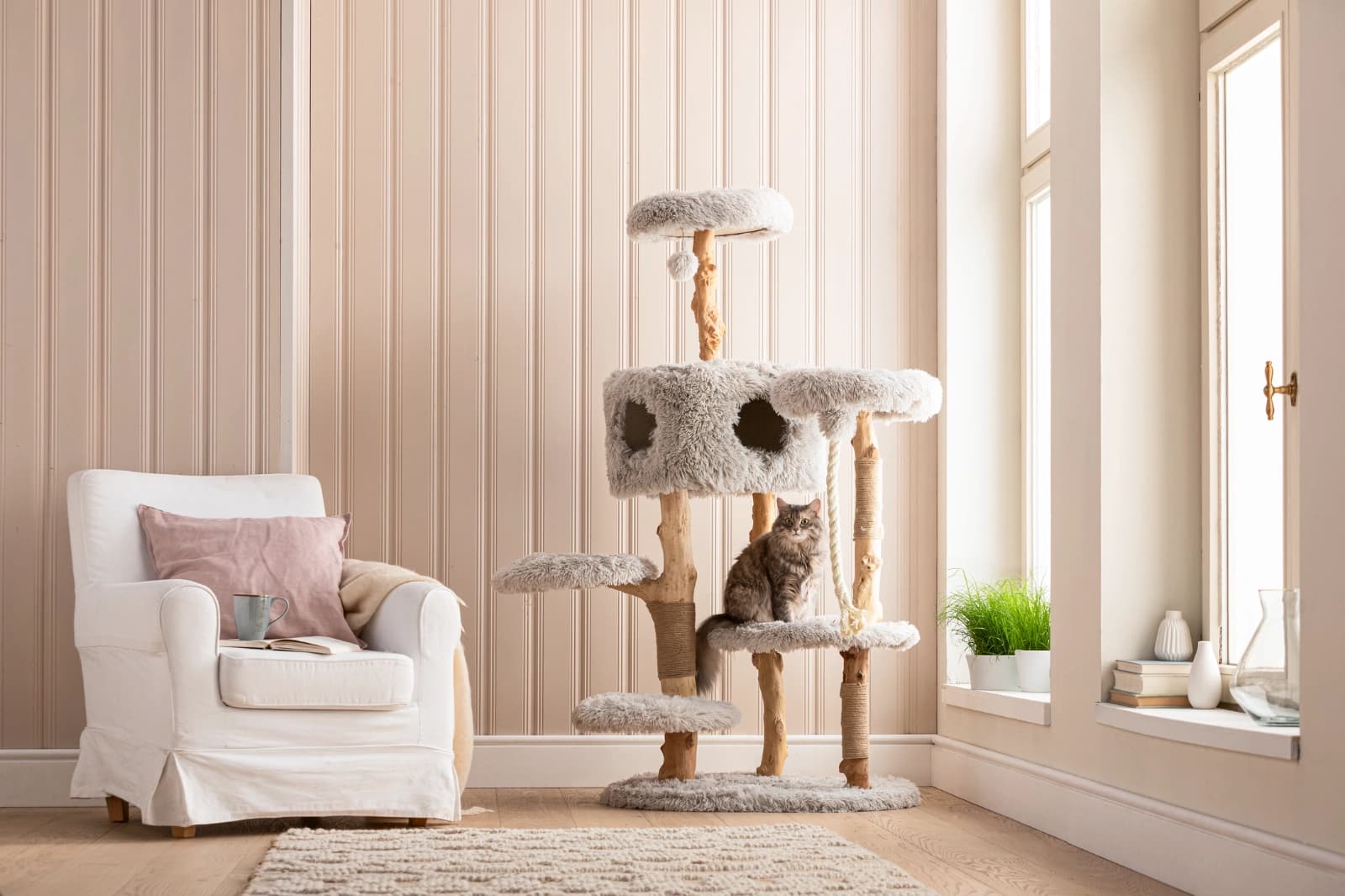 Kratzbäume & Kratzmöbel