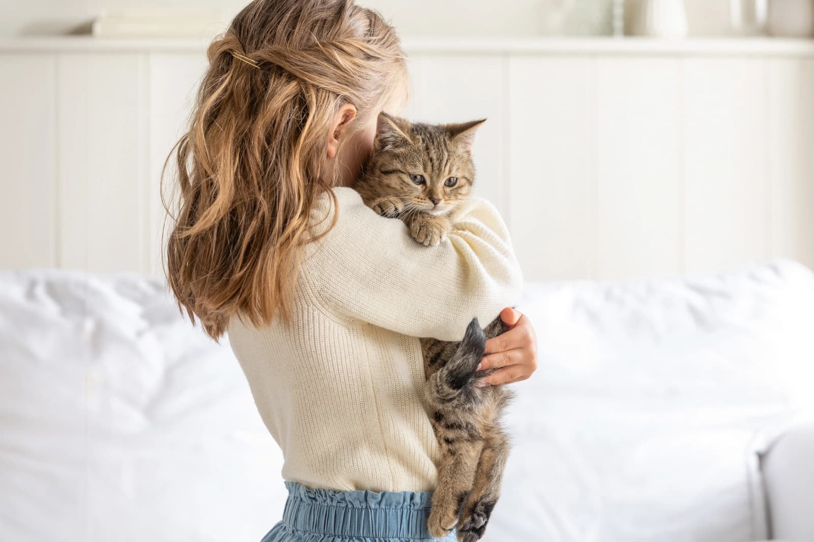 Eine Katze zieht ein