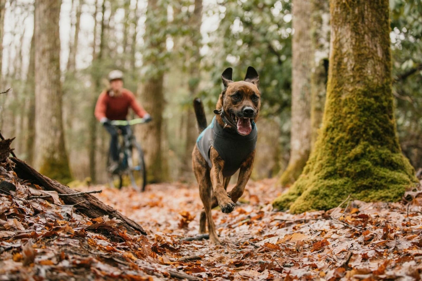 Unterwegs mit mit dem Fahrrad