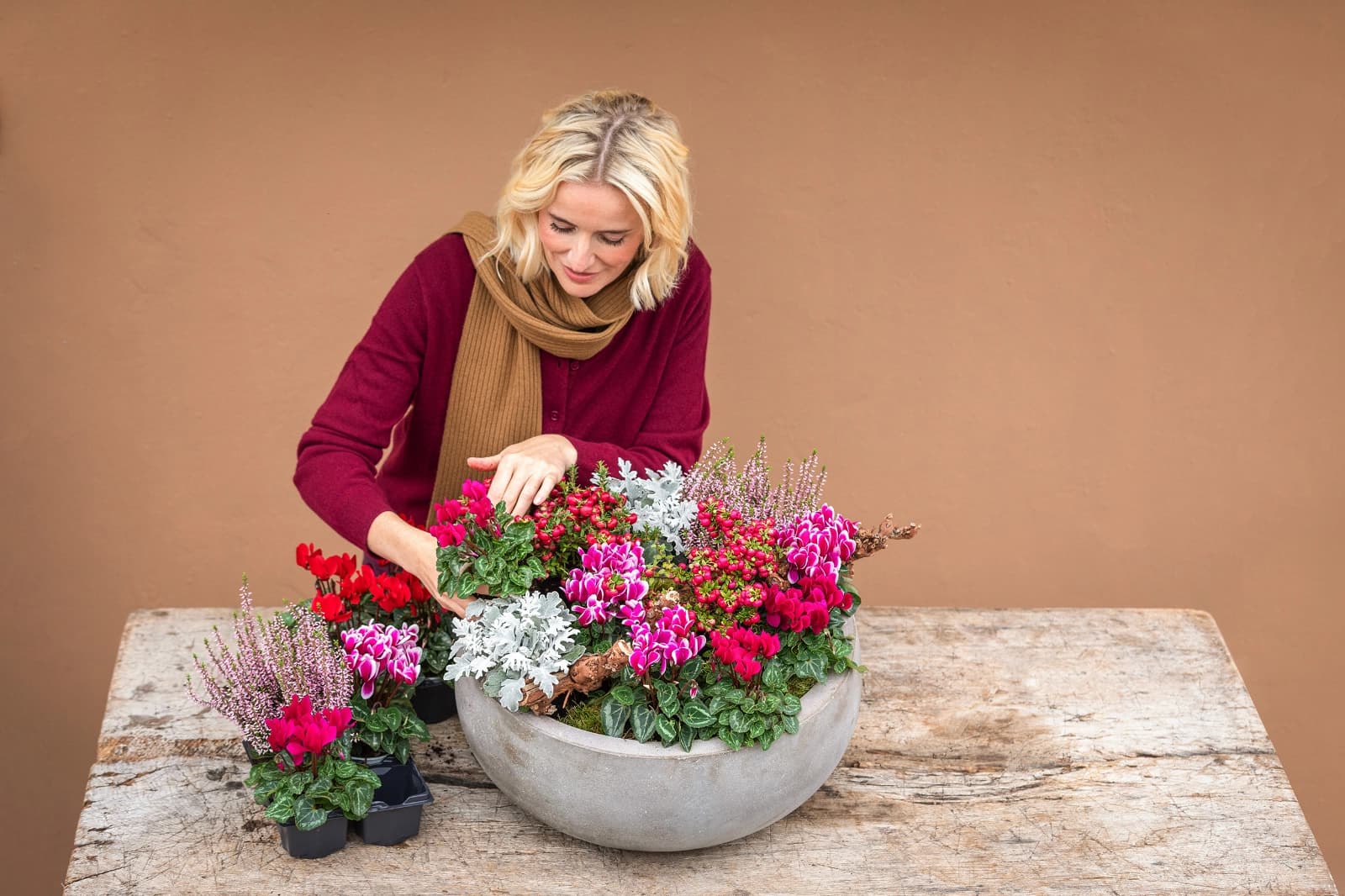 Knallige Herbstblumen
