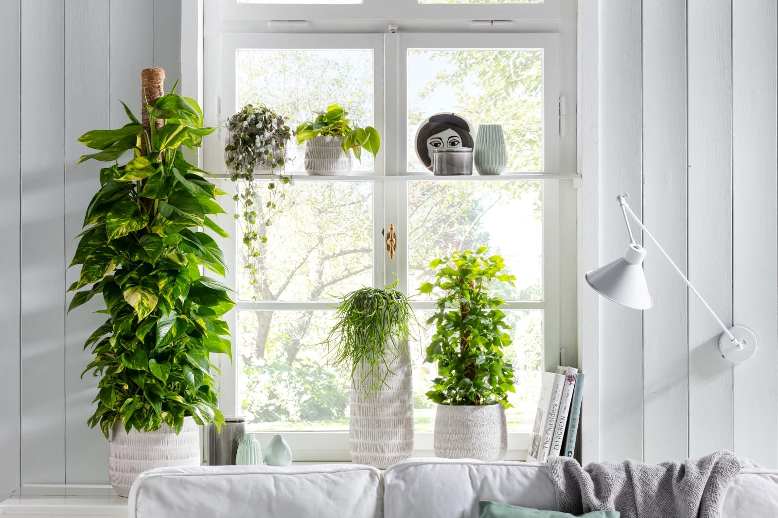 Schneiden & Umtopfen