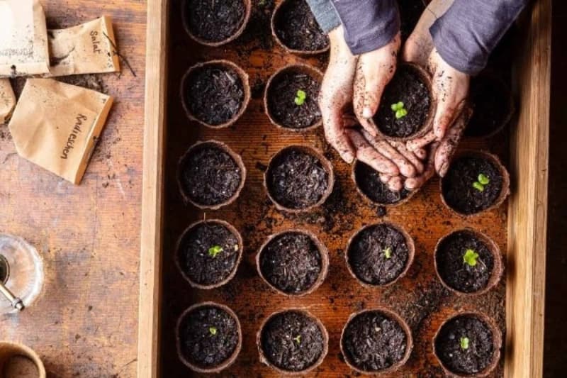 Aussaat für Folgesätze