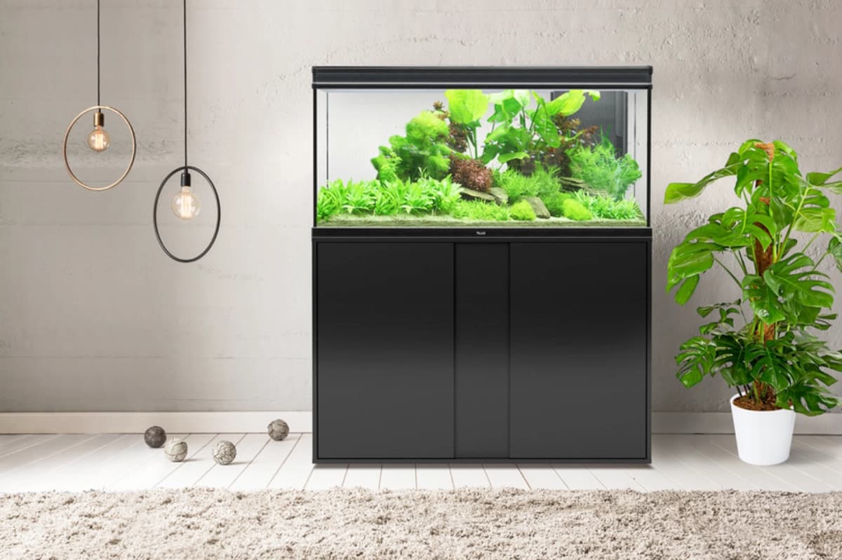 Passendes Aquarium finden