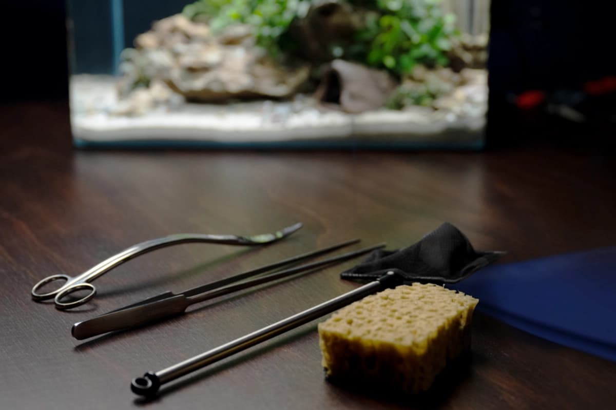 Aquarium richtig pflegen