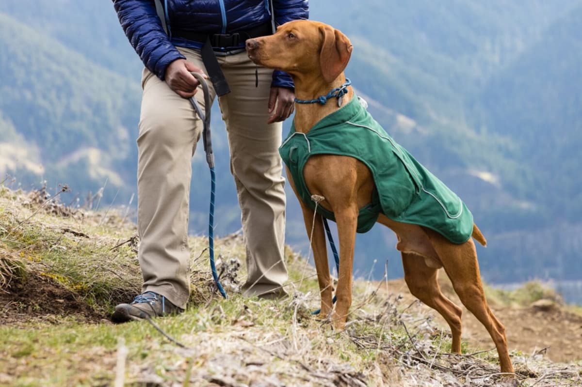 Urlaub in den Bergen – gemeinsames Klettern