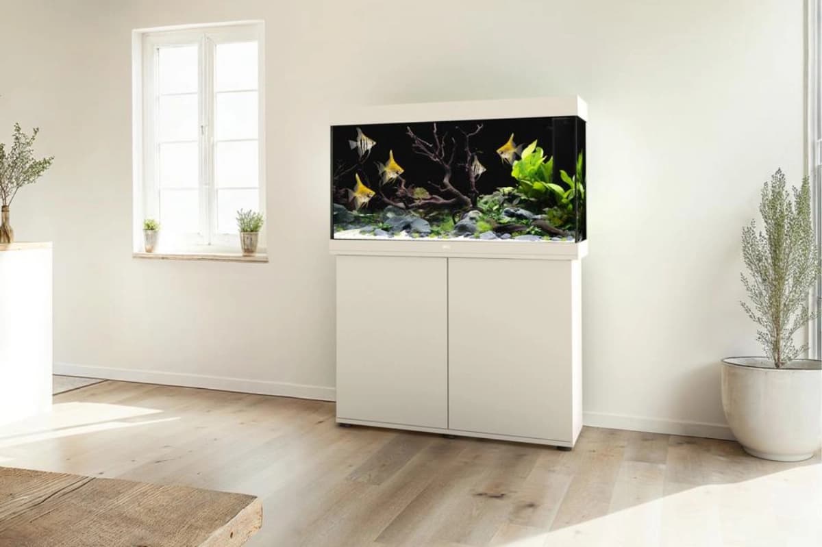 Juwel Aquarium
