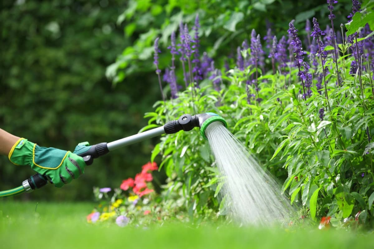 Gartenbewässerung