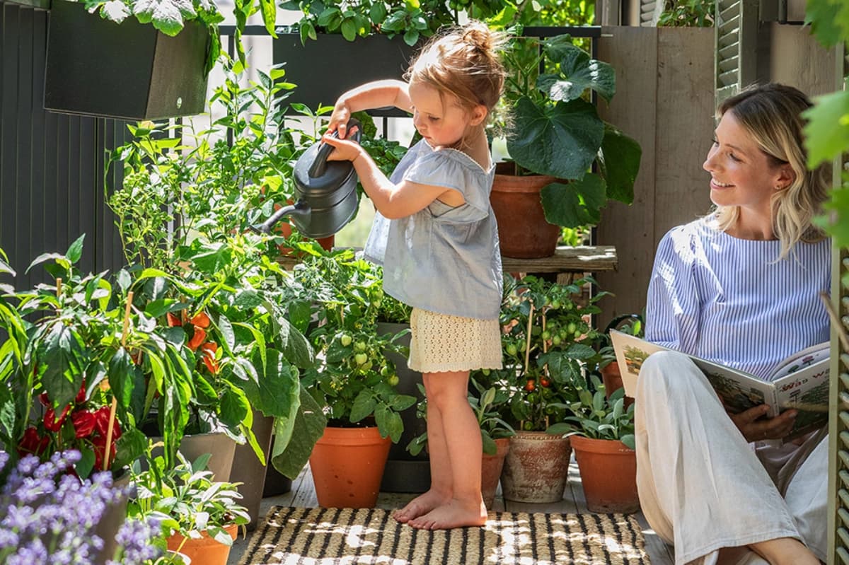 Urban Gardening