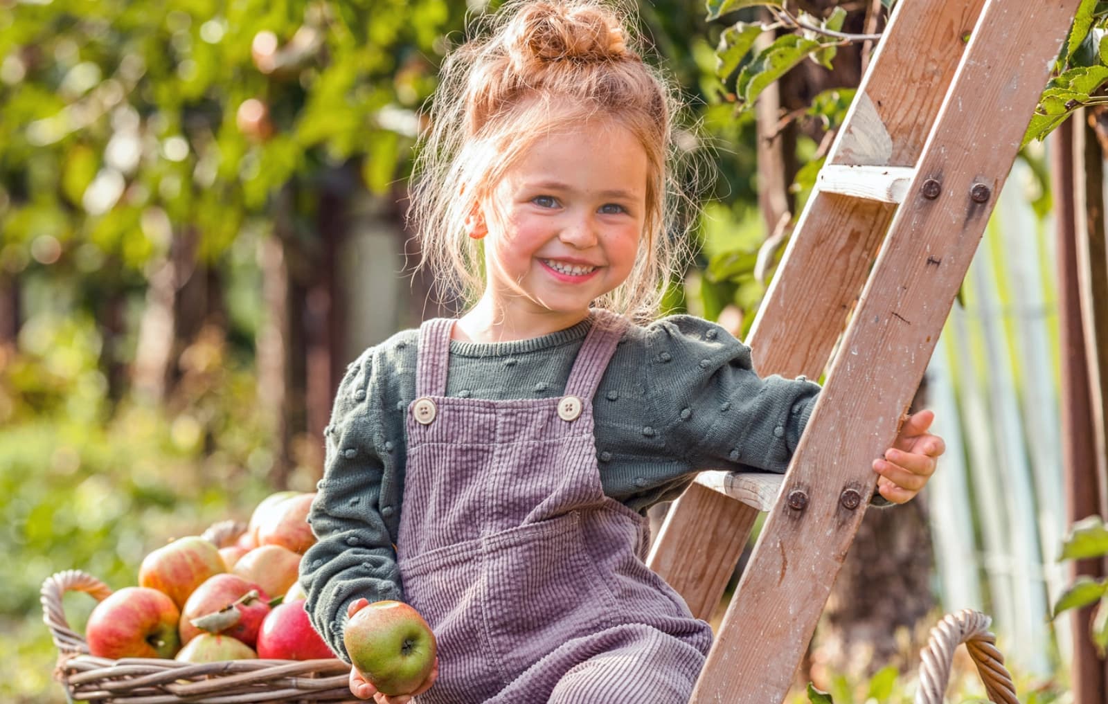 Erziehungsschnitt Sommer