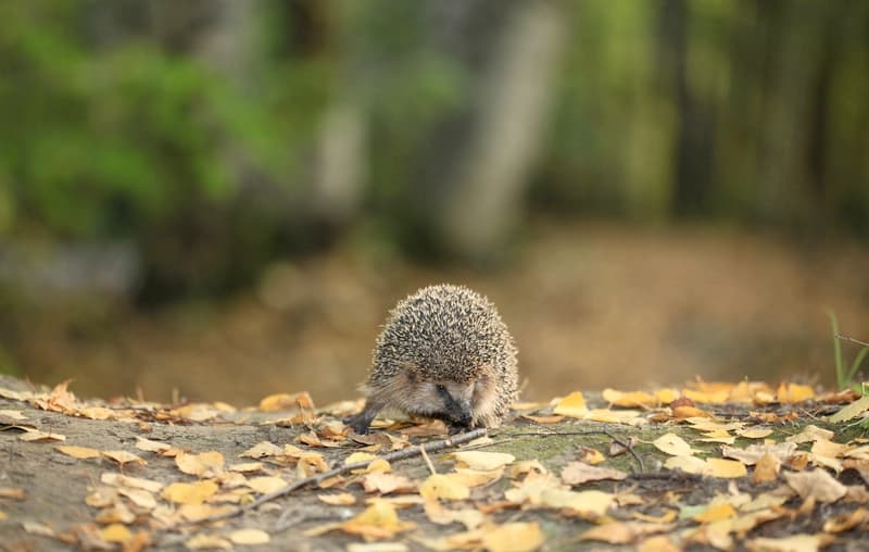 Außentemperatur unter 6 °C